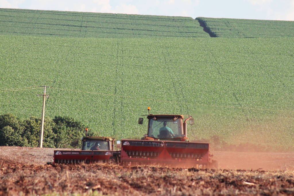 Apesar de preços altos, Paraná reduz área de trigo e retoma aposta no milho